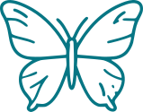 ButterflyIcon.077684