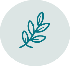 Icon_Round_Leaves077684